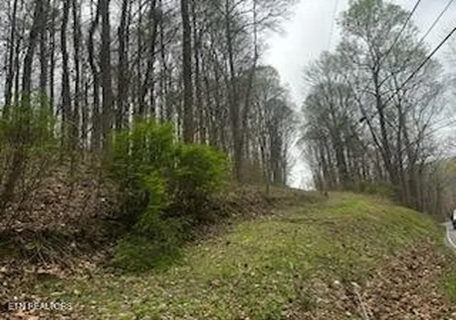 1st image of 197 County Rd, Athens, TN 37303 | MLS# 3302508