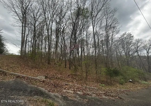 3rd image of 197 County Rd, Athens, TN 37303 | MLS# 3302508