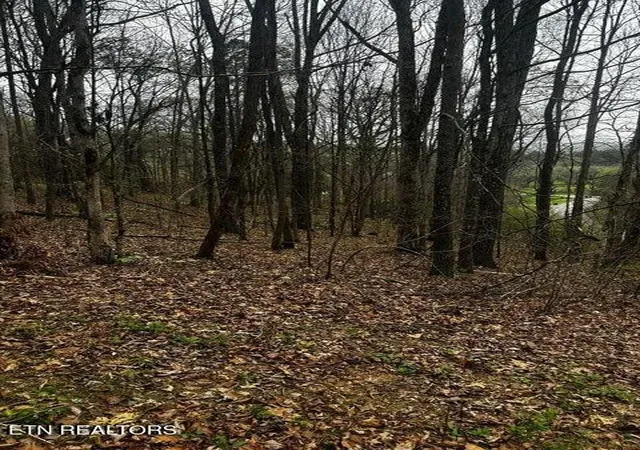 4th image of 197 County Rd, Athens, TN 37303 | MLS# 3302508