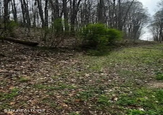 9th image of 197 County Rd, Athens, TN 37303 | MLS# 3302508