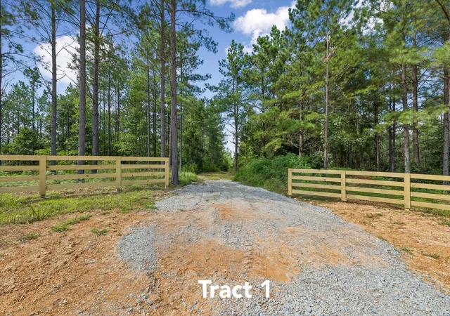 1st image of 1420 Big Swan Creek Rd Tract 1, Summertown, TN 38483 | MLS# 3305586
