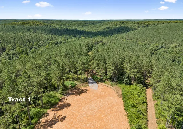 14th image of 1420 Big Swan Creek Rd Tract 1, Summertown, TN 38483 | MLS# 3305586