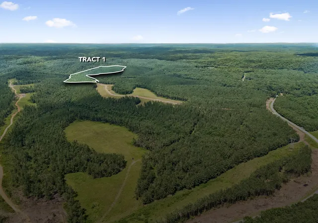 2nd image of 1420 Big Swan Creek Rd Tract 1, Summertown, TN 38483 | MLS# 3305586