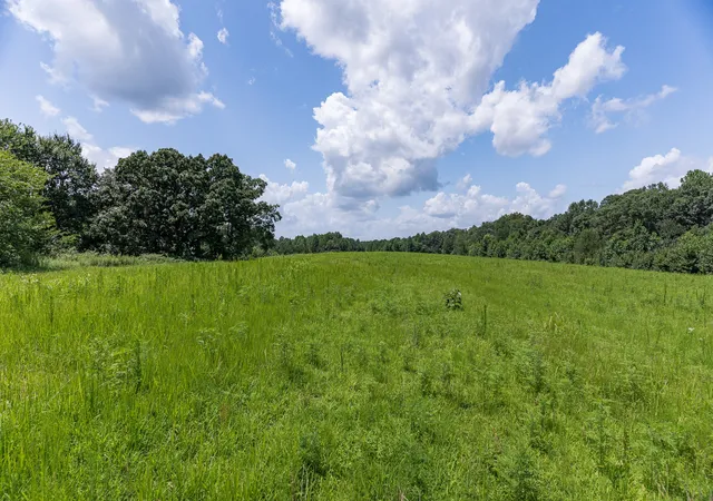 Photo 4 of Land for sale at 91 Luncford Rd, Leoma, TN 38468 | MLS# 3305823 | Listing updated on 2026-08-01