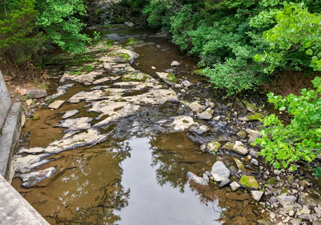 29th image of 1752 Pine Grove Rd, Spencer, TN 38585 | MLS# 3306046