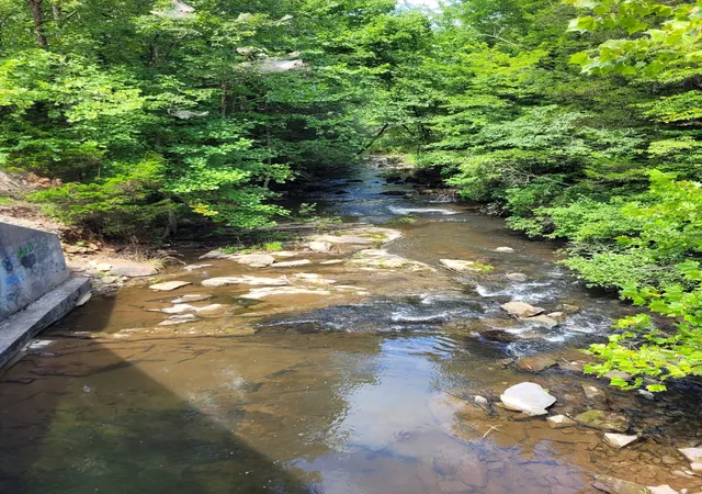 4th image of 1752 Pine Grove Rd, Spencer, TN 38585 | MLS# 3306046