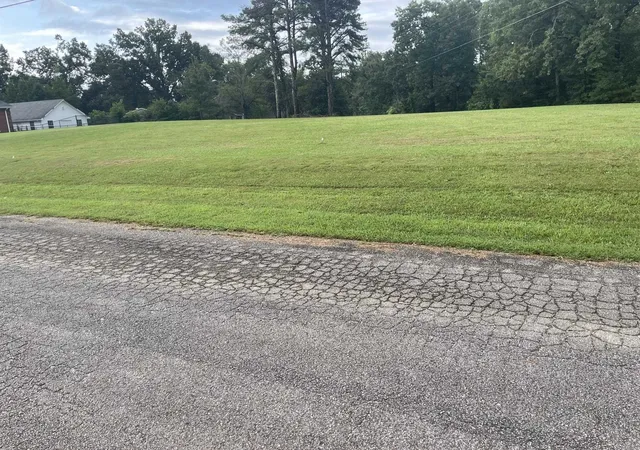 1st image of 0 Caney Branch Rd, Adamsville, TN 38310 | MLS# 3303456