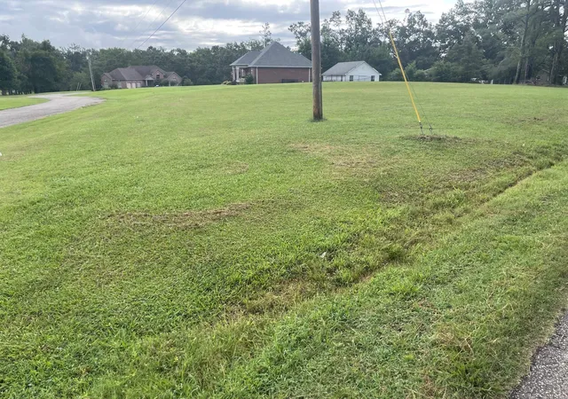 2nd image of 0 Caney Branch Rd, Adamsville, TN 38310 | MLS# 3303456
