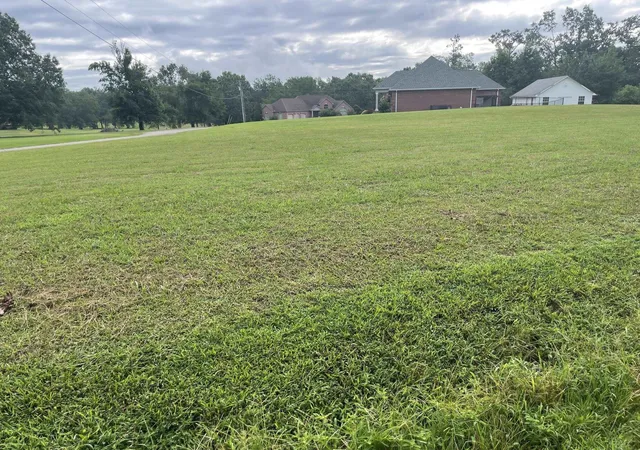 image of 0 Caney Branch Rd, Adamsville, TN 38310 | MLS# 3303456