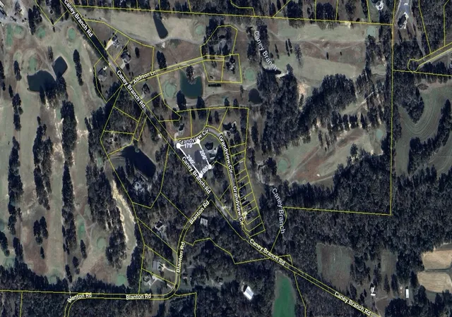 4th image of 0 Caney Branch Rd, Adamsville, TN 38310 | MLS# 3303456