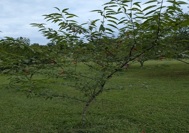 4th image of 119 Fred Rd, Bon Aqua, TN 37025 | MLS# 3305696