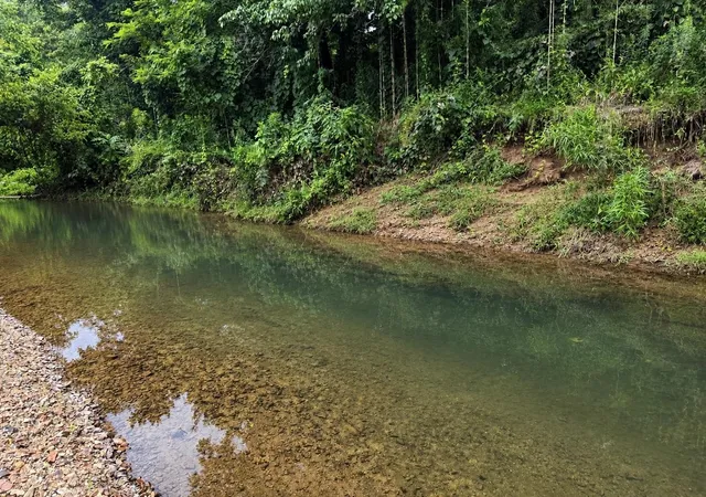 34th image of 5690 Cerro Gordo Rd, Olivehill, TN 38475 | MLS# 3303920