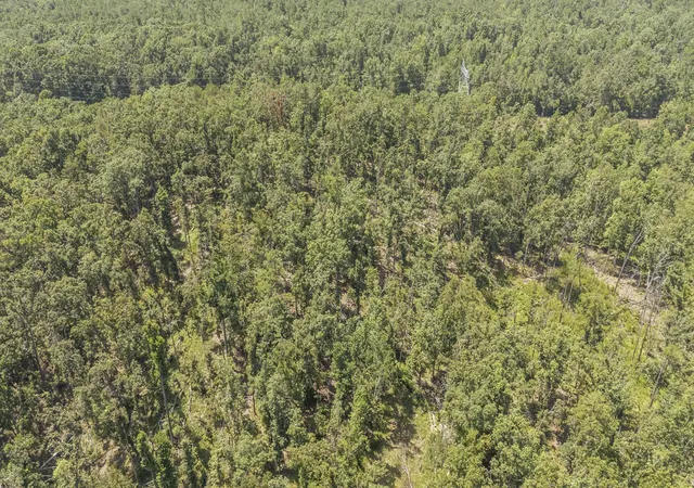 4th image of 4440 Pyburns Dr, Savannah, TN 38372 | MLS# 3303926