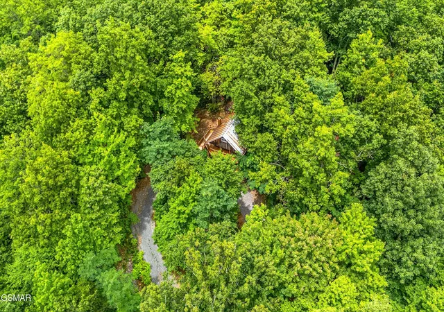 45th image of 1222 S Hwy 32, Cosby, TN 37722 | MLS# 3303998