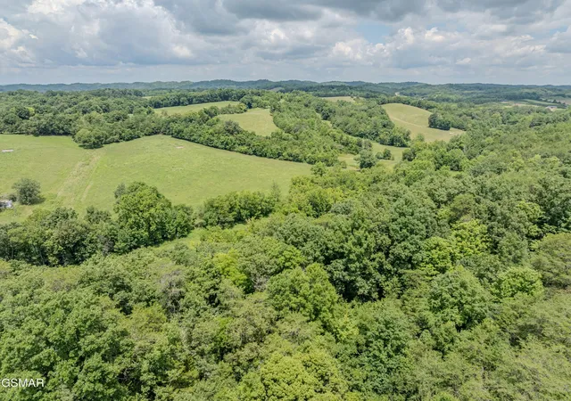 7th image of 0 Fowlers Grove Rd, Newport, TN 37821 | MLS# 3304408