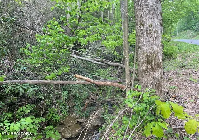 Photo 3 of Land for sale at 26 Alpine Dr, Sevierville, TN 37876 | MLS# 3536099 | Listing updated on 2026-10-21