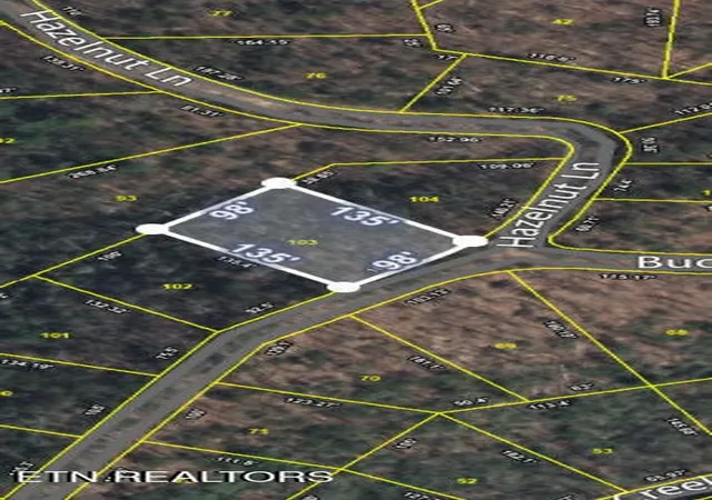 Photo 2 of Land for sale at 103 Buckeye Rd, Sevierville, TN 37876 | MLS# 3536100 | Listing updated on 2026-09-03
