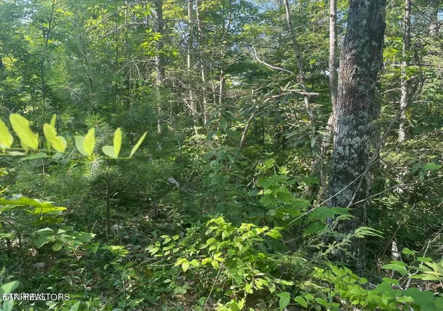 Photo 1 of Land for sale at 1 Sycamore St, Sevierville, TN 37876 | MLS# 3536104 | Listing updated on 2026-10-21