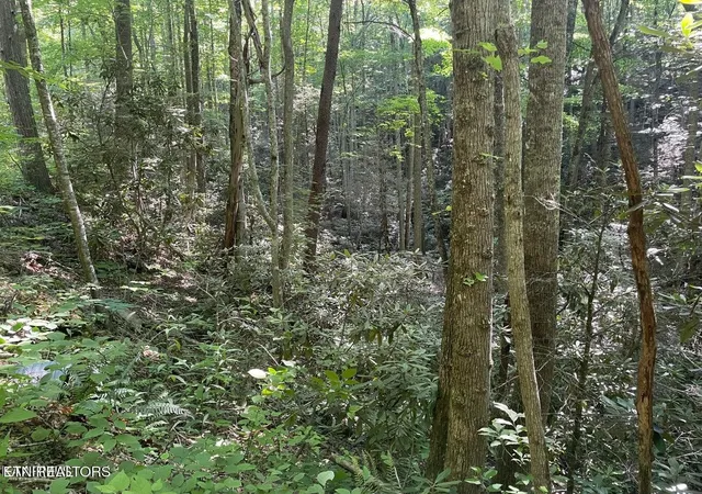 Photo 1 of Land for sale at 76 Sycamore St, Sevierville, TN 37876 | MLS# 3536105 | Listing updated on 2026-10-21