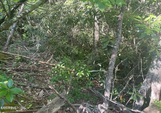 Photo 1 of Land for sale at 68 Sycamore St, Sevierville, TN 37876 | MLS# 3536106 | Listing updated on 2026-10-21