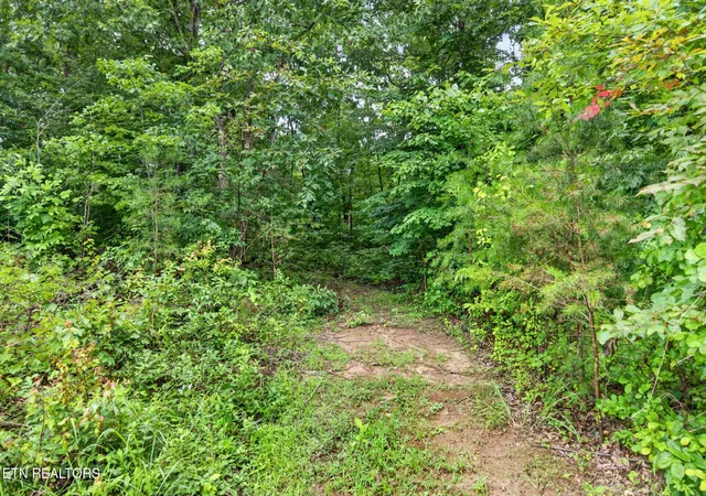 Photo 4 of Single family home for sale at 460 Jim Garrett Rd, Monterey, TN 38574 | MLS# 3304530 | Listing updated on 2026-08-31