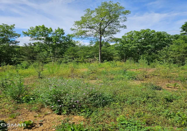 20th image of 67910 Pleasure Road, Sevierville, TN 37876 | MLS# 3304571