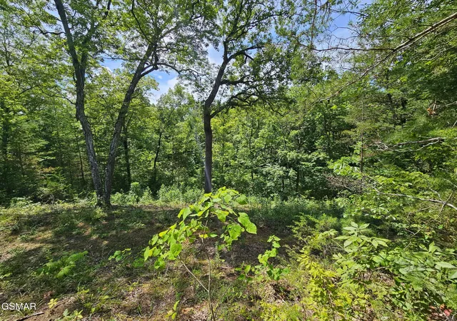 2nd image of 67910 Pleasure Road, Sevierville, TN 37876 | MLS# 3304571