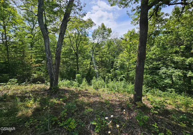 3rd image of 67910 Pleasure Road, Sevierville, TN 37876 | MLS# 3304571