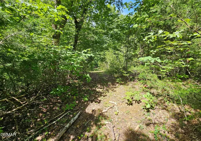 4th image of 67910 Pleasure Road, Sevierville, TN 37876 | MLS# 3304571
