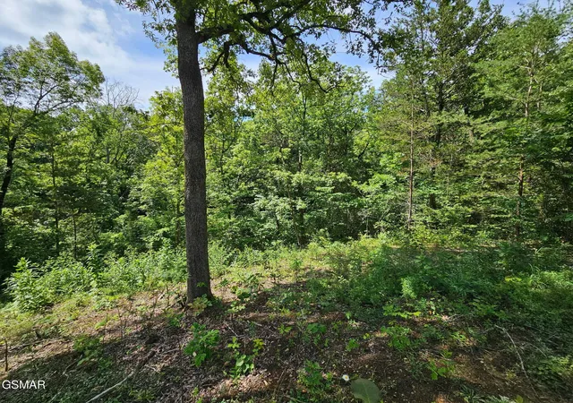 5th image of 67910 Pleasure Road, Sevierville, TN 37876 | MLS# 3304571
