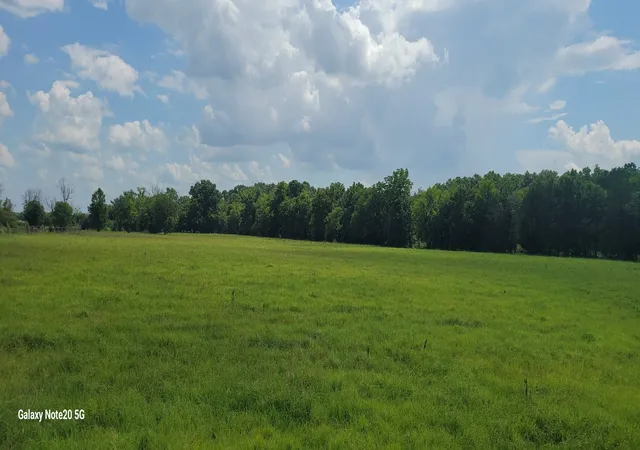1st image of 11 Beasley Rd, Chapel Hill, TN 37034 | MLS# 3304579