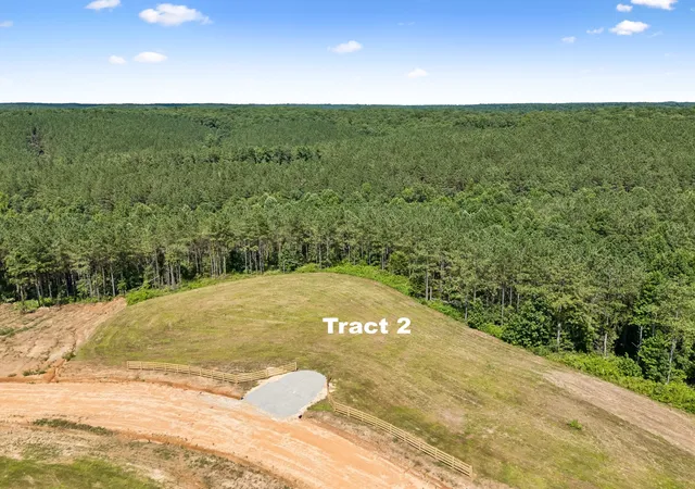 17th image of 1420 Big Swan Creek Rd Tract 2, Summertown, TN 38483 | MLS# 3305588