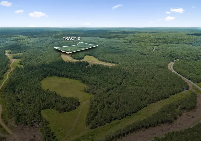 2nd image of 1420 Big Swan Creek Rd Tract 2, Summertown, TN 38483 | MLS# 3305588