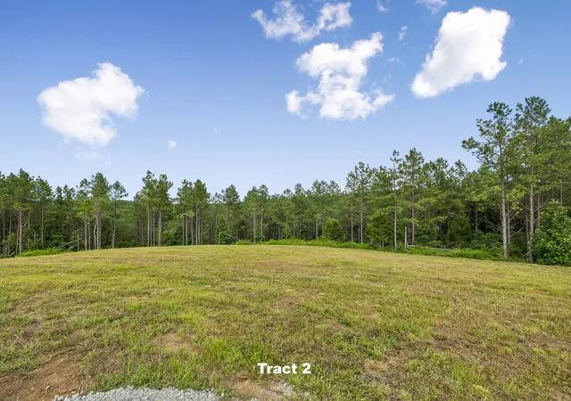 4th image of 1420 Big Swan Creek Rd Tract 2, Summertown, TN 38483 | MLS# 3305588