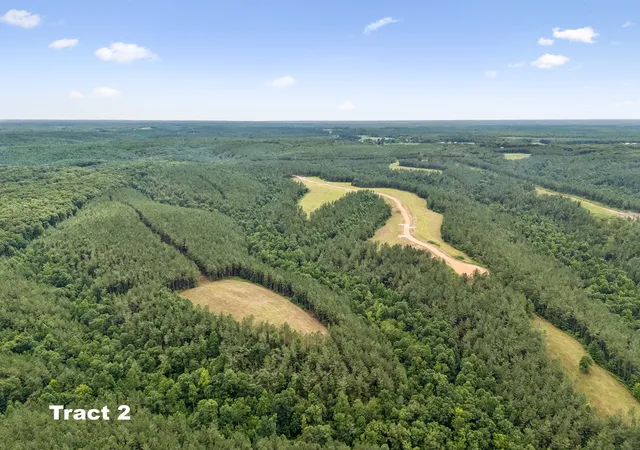 5th image of 1420 Big Swan Creek Rd Tract 2, Summertown, TN 38483 | MLS# 3305588