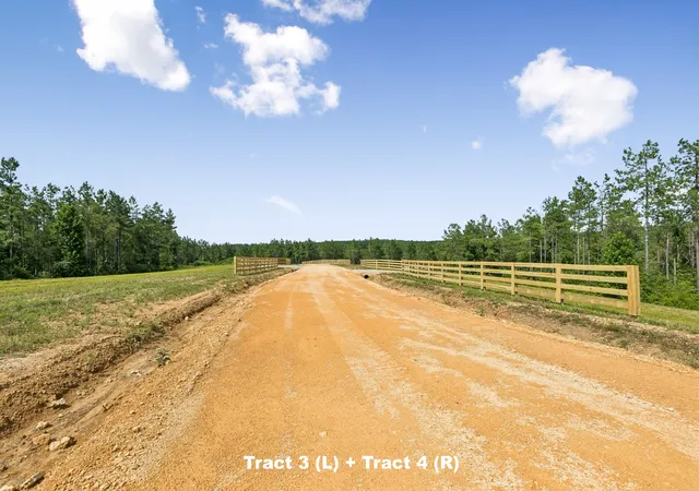 1st image of 1420 Big Swan Creek Rd Tract 3, Summertown, TN 38483 | MLS# 3305589