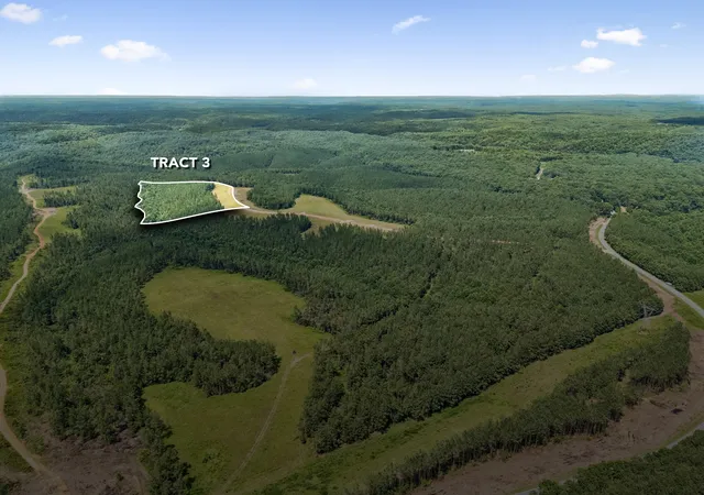 2nd image of 1420 Big Swan Creek Rd Tract 3, Summertown, TN 38483 | MLS# 3305589