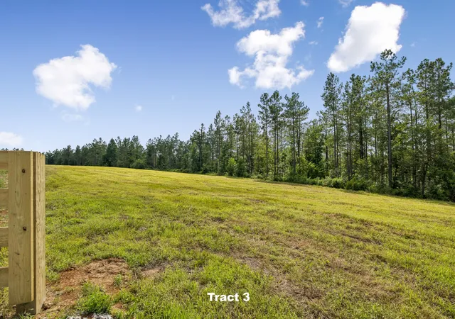 24th image of 1420 Big Swan Creek Rd Tract 3, Summertown, TN 38483 | MLS# 3305589