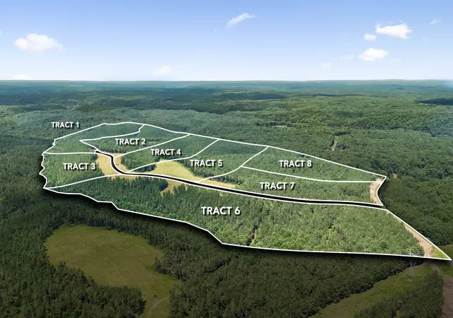 3rd image of 1420 Big Swan Creek Rd Tract 3, Summertown, TN 38483 | MLS# 3305589