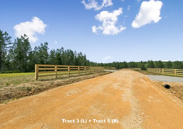 5th image of 1420 Big Swan Creek Rd Tract 3, Summertown, TN 38483 | MLS# 3305589