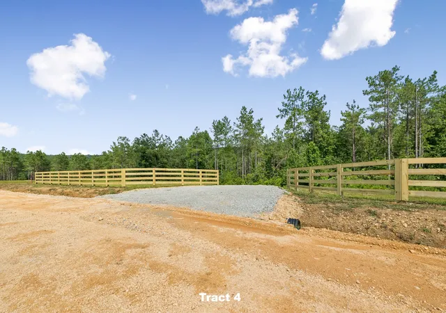 1st image of 1420 Big Swan Creek Rd Tract 4, Summertown, TN 38483 | MLS# 3305591