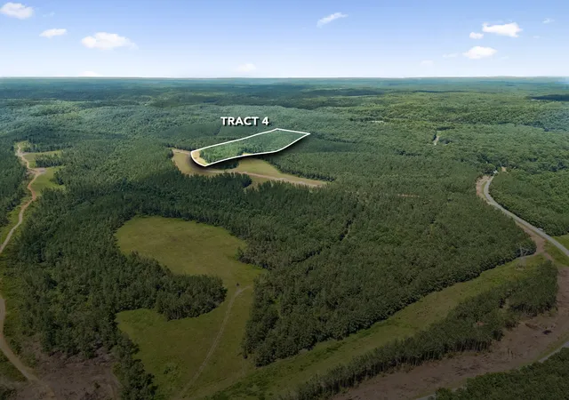 3rd image of 1420 Big Swan Creek Rd Tract 4, Summertown, TN 38483 | MLS# 3305591