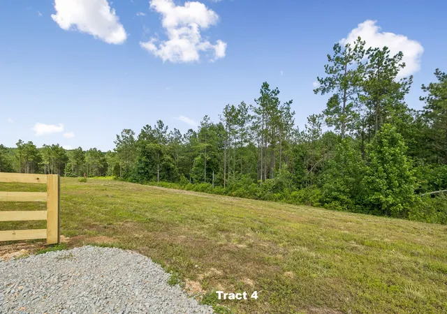 4th image of 1420 Big Swan Creek Rd Tract 4, Summertown, TN 38483 | MLS# 3305591