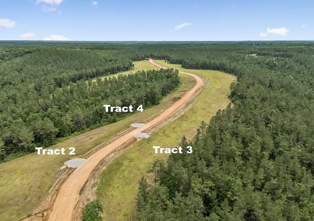 5th image of 1420 Big Swan Creek Rd Tract 4, Summertown, TN 38483 | MLS# 3305591