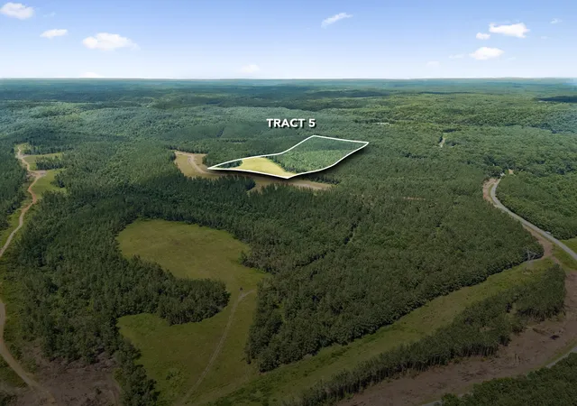 2nd image of 1420 Big Swan Creek Rd Tract 5, Summertown, TN 38483 | MLS# 3305593