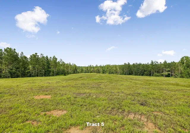 4th image of 1420 Big Swan Creek Rd Tract 5, Summertown, TN 38483 | MLS# 3305593
