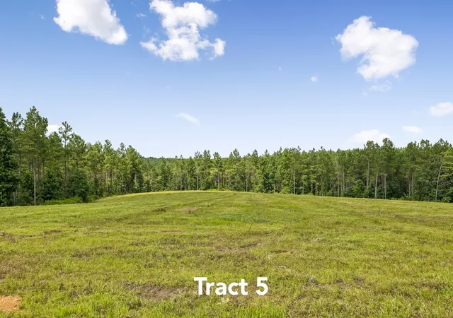 5th image of 1420 Big Swan Creek Rd Tract 5, Summertown, TN 38483 | MLS# 3305593