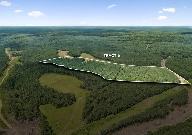 2nd image of 1420 Big Swan Creek Rd Tract 6, Summertown, TN 38483 | MLS# 3305596