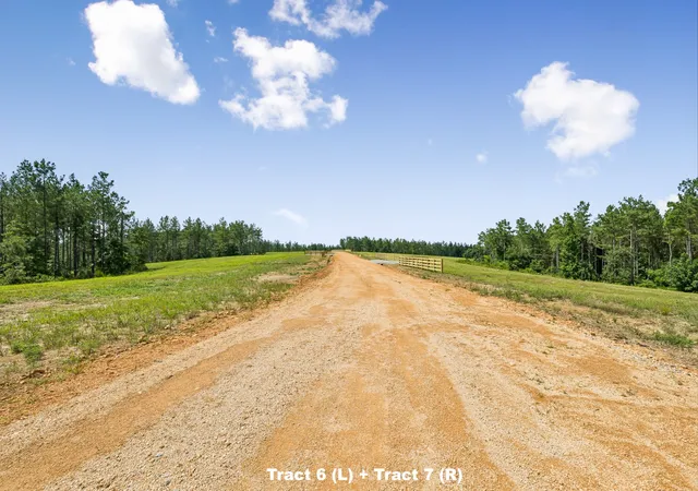 3rd image of 1420 Big Swan Creek Rd Tract 6, Summertown, TN 38483 | MLS# 3305596