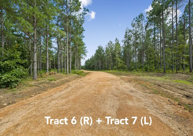 4th image of 1420 Big Swan Creek Rd Tract 6, Summertown, TN 38483 | MLS# 3305596